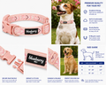 SportPet Patterned Collar
