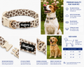 SportPet Leopard Print Pet Collar