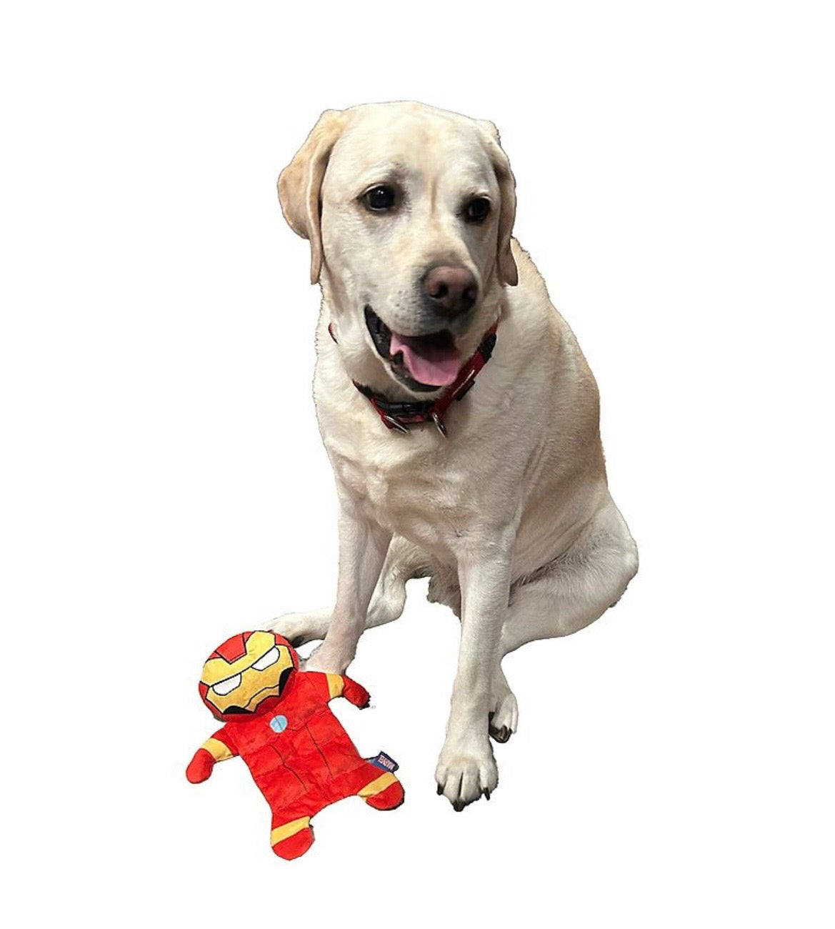 Marvel Ironman Dog Toy