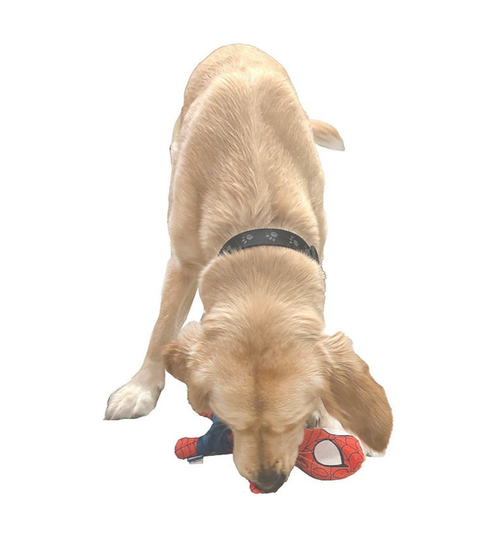 Marvel Spiderman Rope Dog Toy